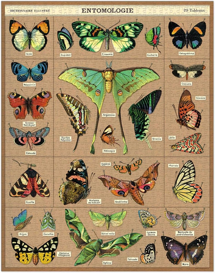 Entomologie 1000 Pièces - Cavallini & Co