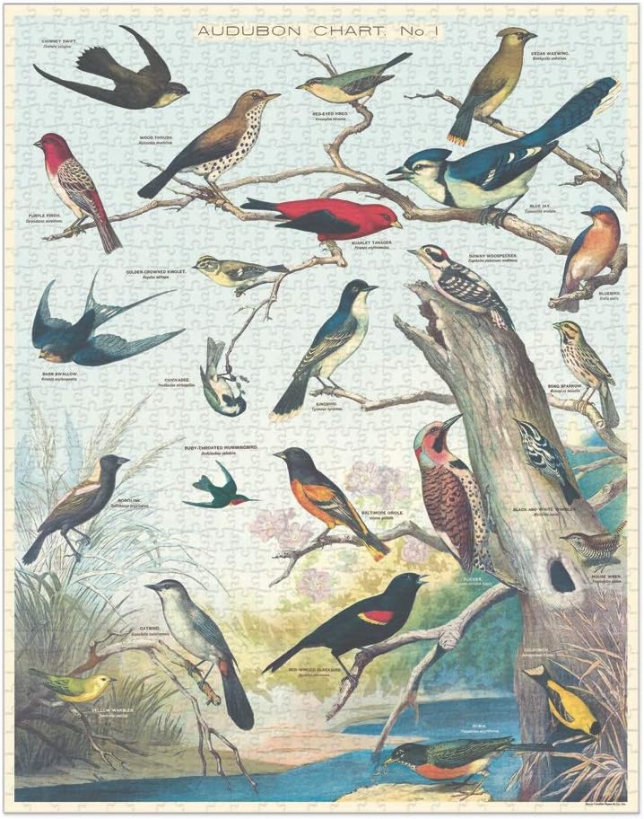 Birds 1000 Pièces - Cavallini & Co