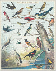 Birds 1000 Pièces - Cavallini & Co