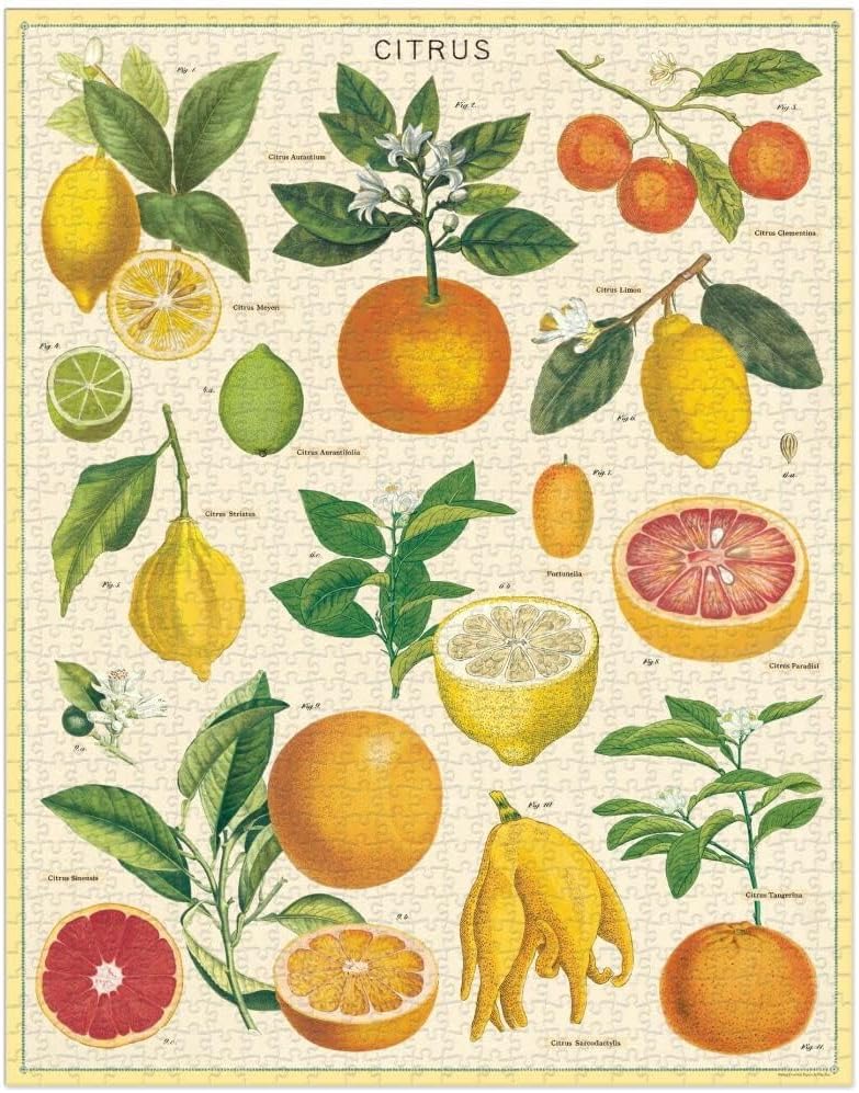 Citrus 1000 Pièces - Cavallini & Co