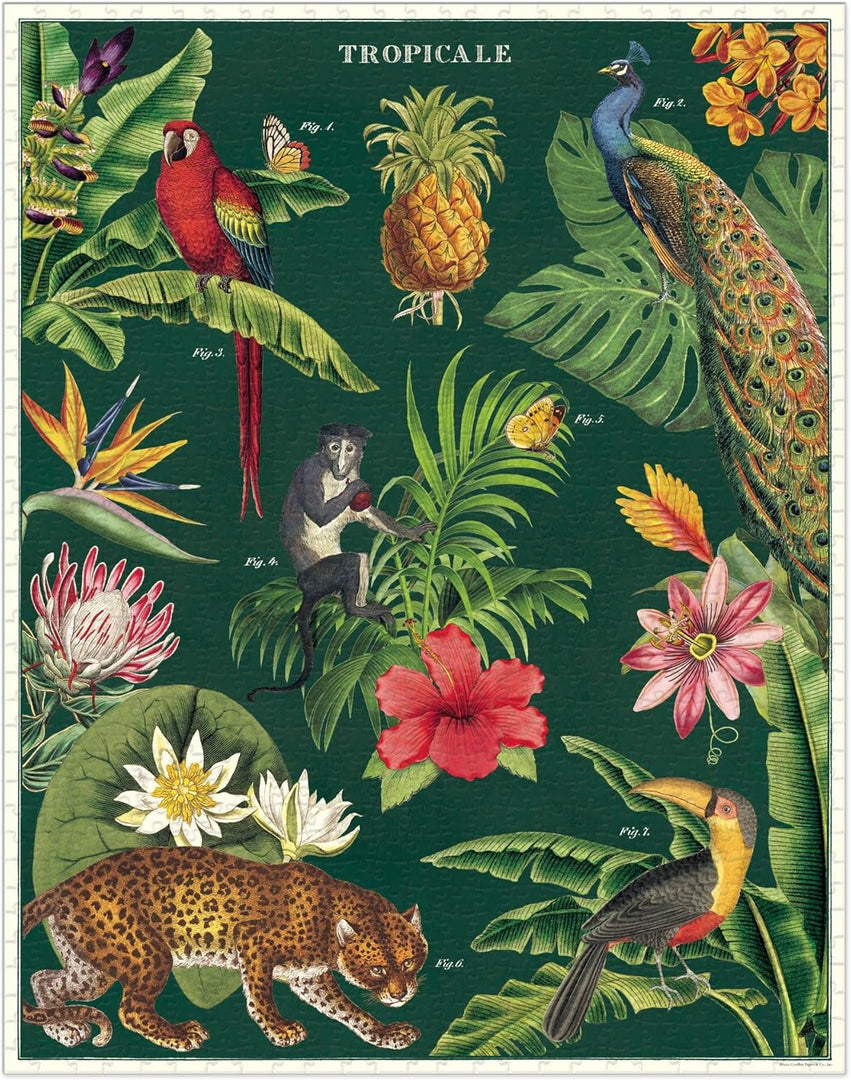 Tropicale 1000 Pièces - Cavallini & Co