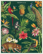 Tropicale 1000 Pièces - Cavallini & Co