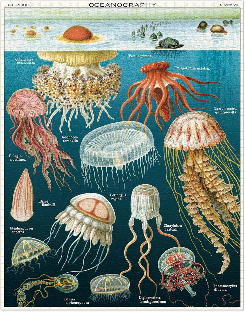 Jellyfish 1000 Pièces - Cavallini & Co