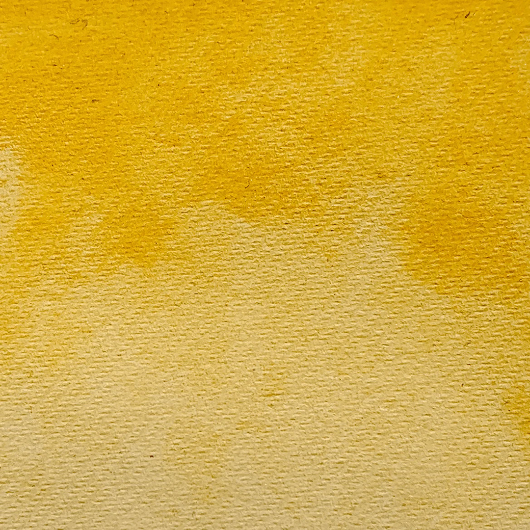 Ajonc - La Nouvelle Vague Couleurs