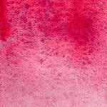 Chargez l'image dans le visionneur de galerie, Bougainvillier - La Nouvelle Vague Couleur