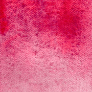 Bougainvillier - La Nouvelle Vague Couleur