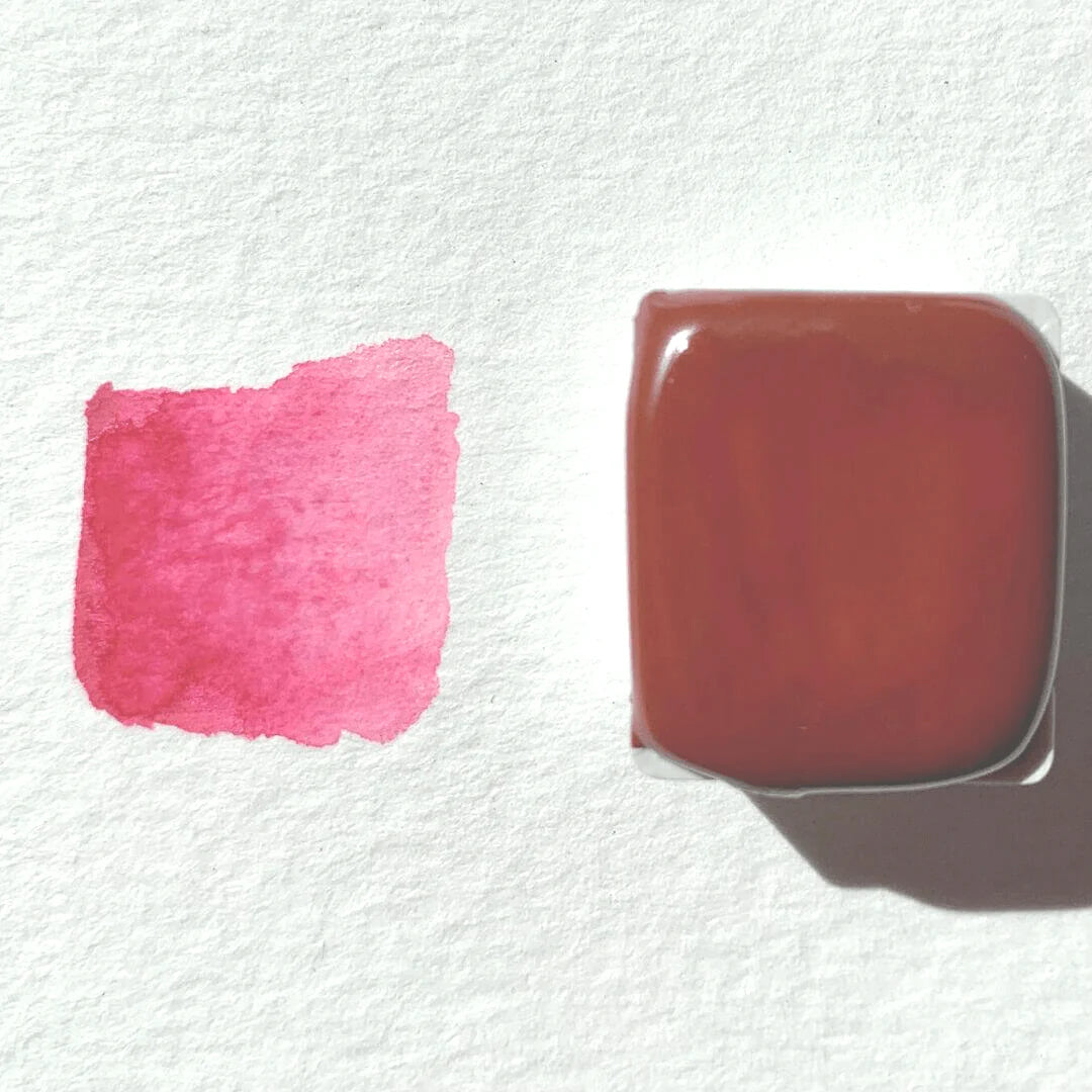 Bougainvillier - La Nouvelle Vague Couleur