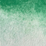 Chargez l'image dans le visionneur de galerie, Cactus - La Nouvelle Vague Couleurs