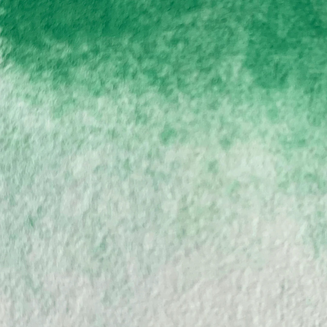 Cactus - La Nouvelle Vague Couleurs