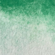 Cactus - La Nouvelle Vague Couleurs