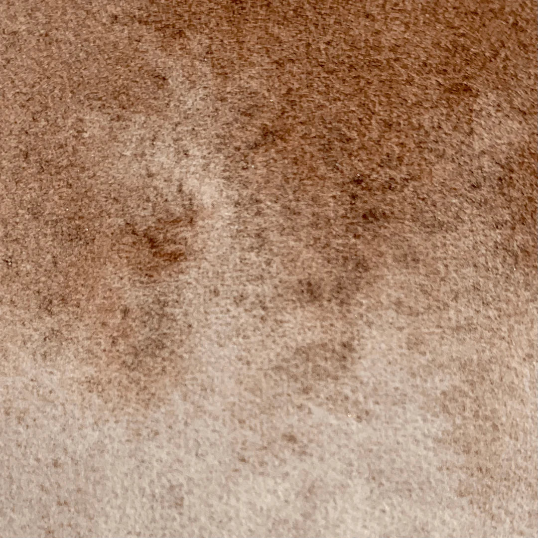 Choco BN - La Nouvelle Vague Couleur