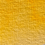 Chargez l'image dans le visionneur de galerie, Daffodil - La Nouvelle Vague Couleurs