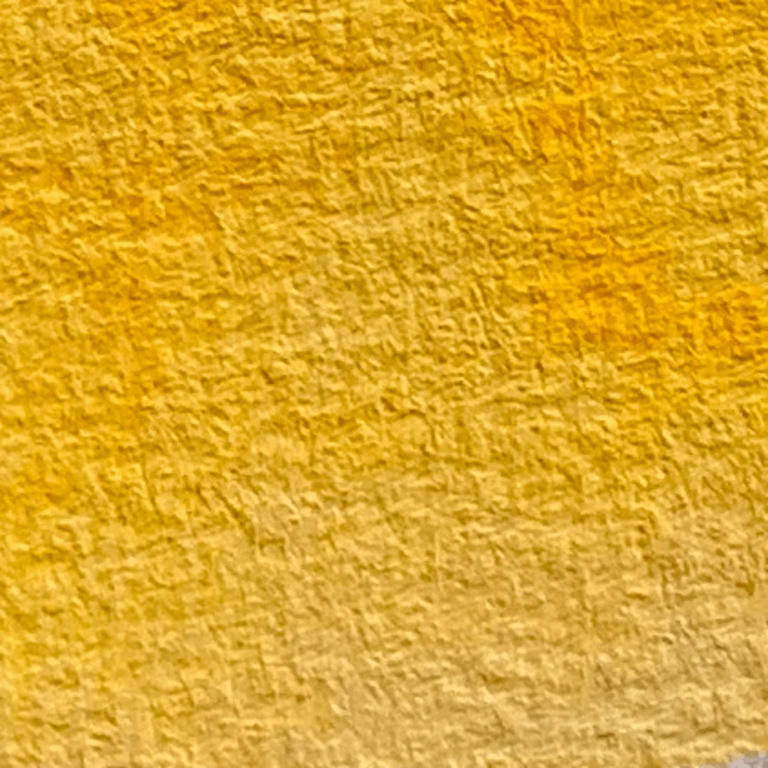 Daffodil - La Nouvelle Vague Couleurs