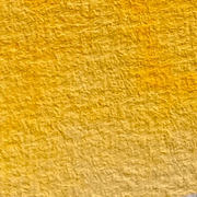 Daffodil - La Nouvelle Vague Couleurs