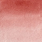 Chargez l'image dans le visionneur de galerie, Flamboyant - La Nouvelle Vague Couleur