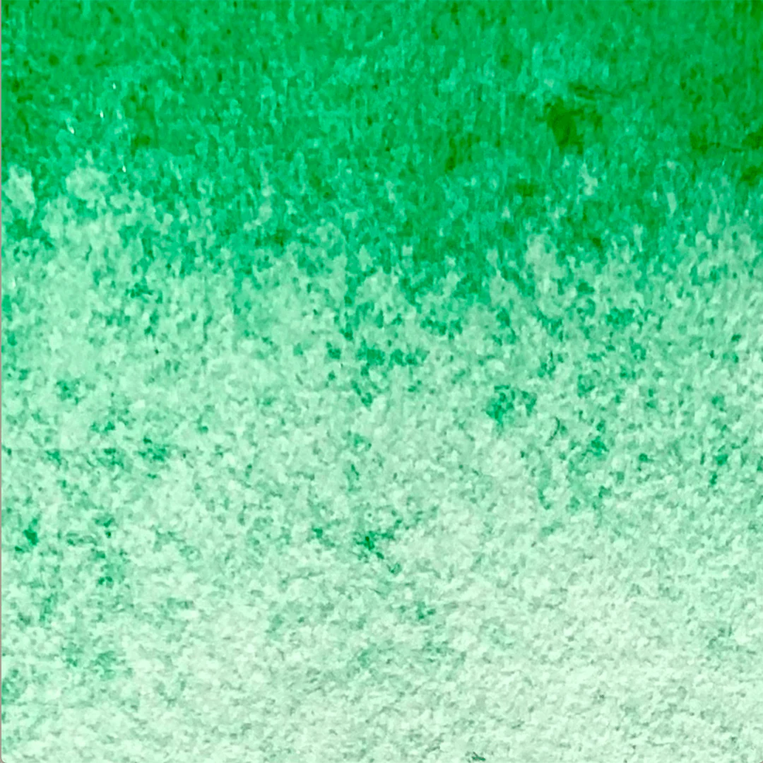 Gazon Anglais - La Nouvelle Vague Couleurs