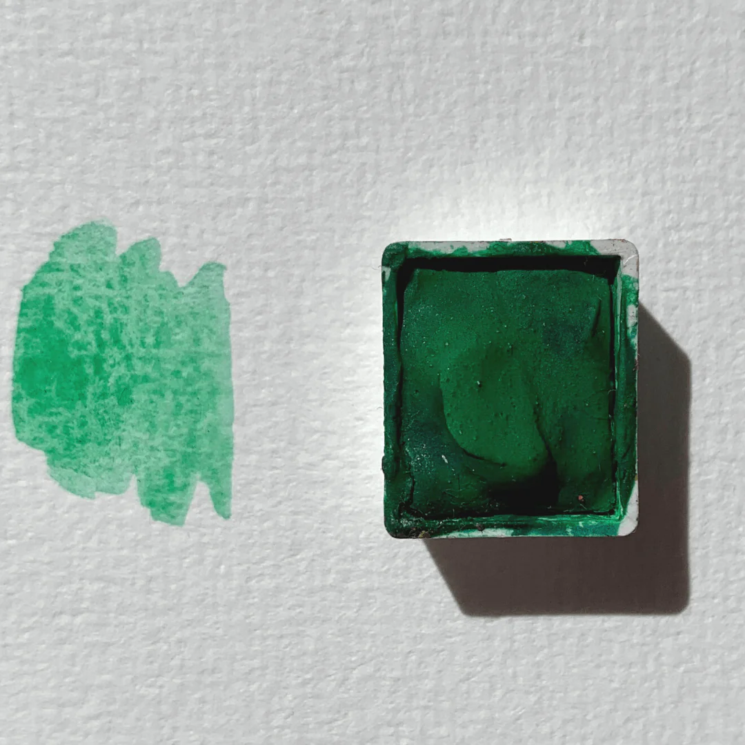 Gazon Anglais - La Nouvelle Vague Couleurs