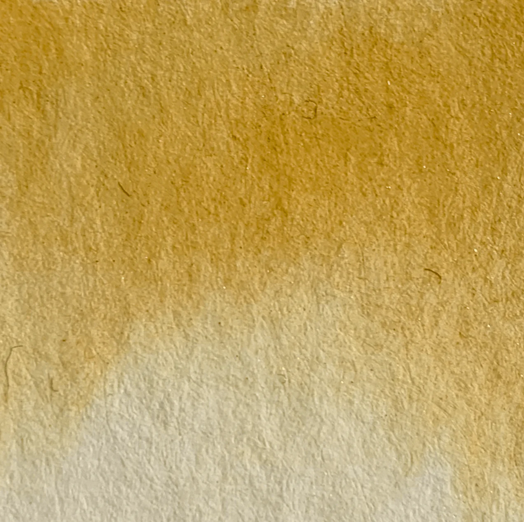 Golden Latte - La Nouvelle Vague Couleur