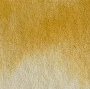 Golden Latte - La Nouvelle Vague Couleur