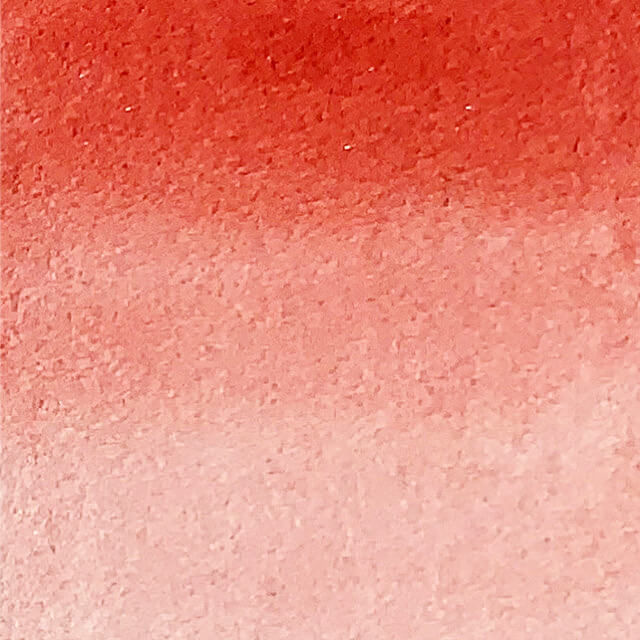 Hibiscus - La Nouvelle Vague Couleur