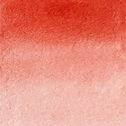 Hibiscus - La Nouvelle Vague Couleur