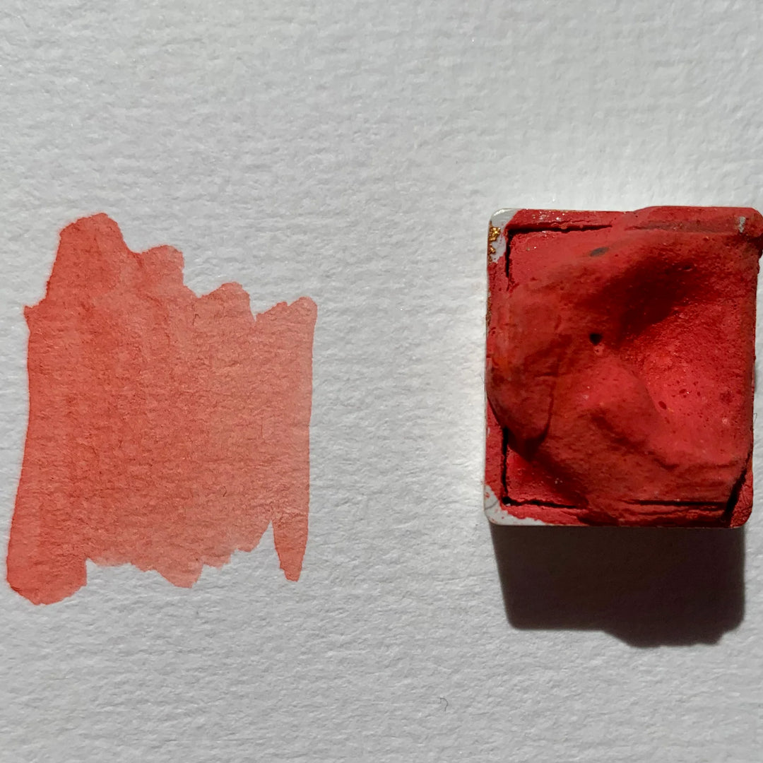 Hibiscus - La Nouvelle Vague Couleur