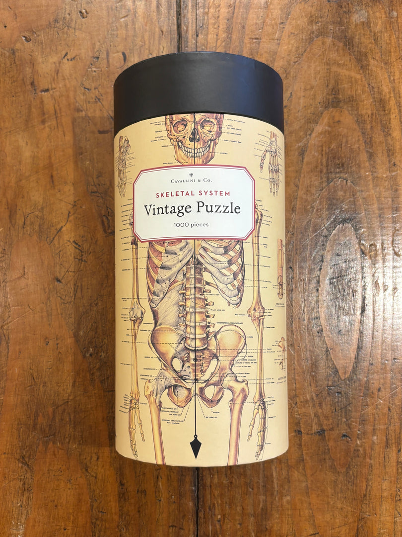 Skeletal System 1000 Pièces - Cavallini & Co