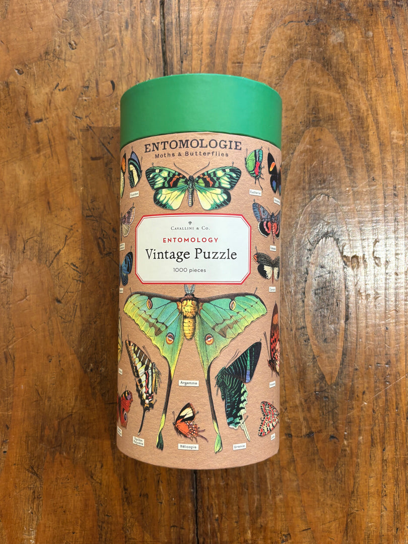 Entomologie 1000 Pièces - Cavallini & Co