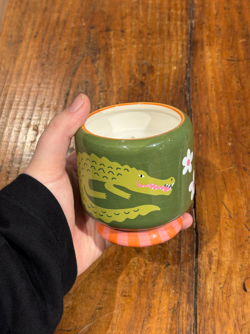 Bougie A Dopo Prickly Pear - Paddywax