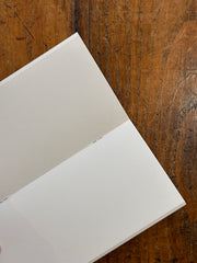 027 - PAPIER AQUARELLE Regular Size - Traveler's Notebook