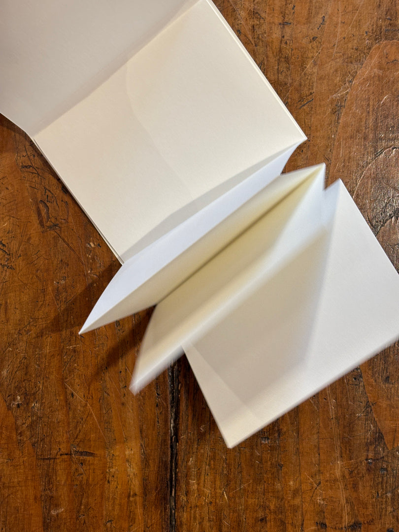 018 - PAPIER ACCORDÉON Passport Size - Traveler's Notebook