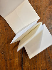 018 - PAPIER ACCORDÉON Passport Size - Traveler's Notebook