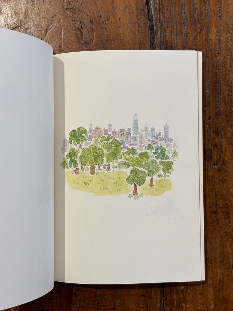 San Francisco - L'après-midi travel journal