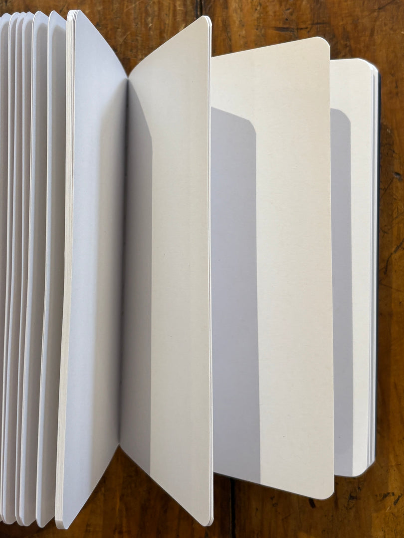 Carnet Dos Carré L'avenir Est Une Chance - Les Éditions Du Paon