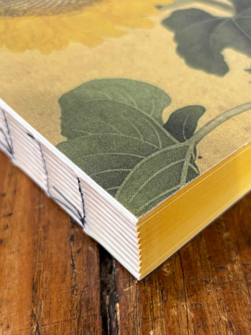 Girasole, Libri Muti - Slow Design