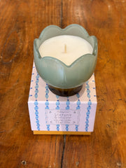 Bougie Tulip Wisteria & Willow - Paddywax