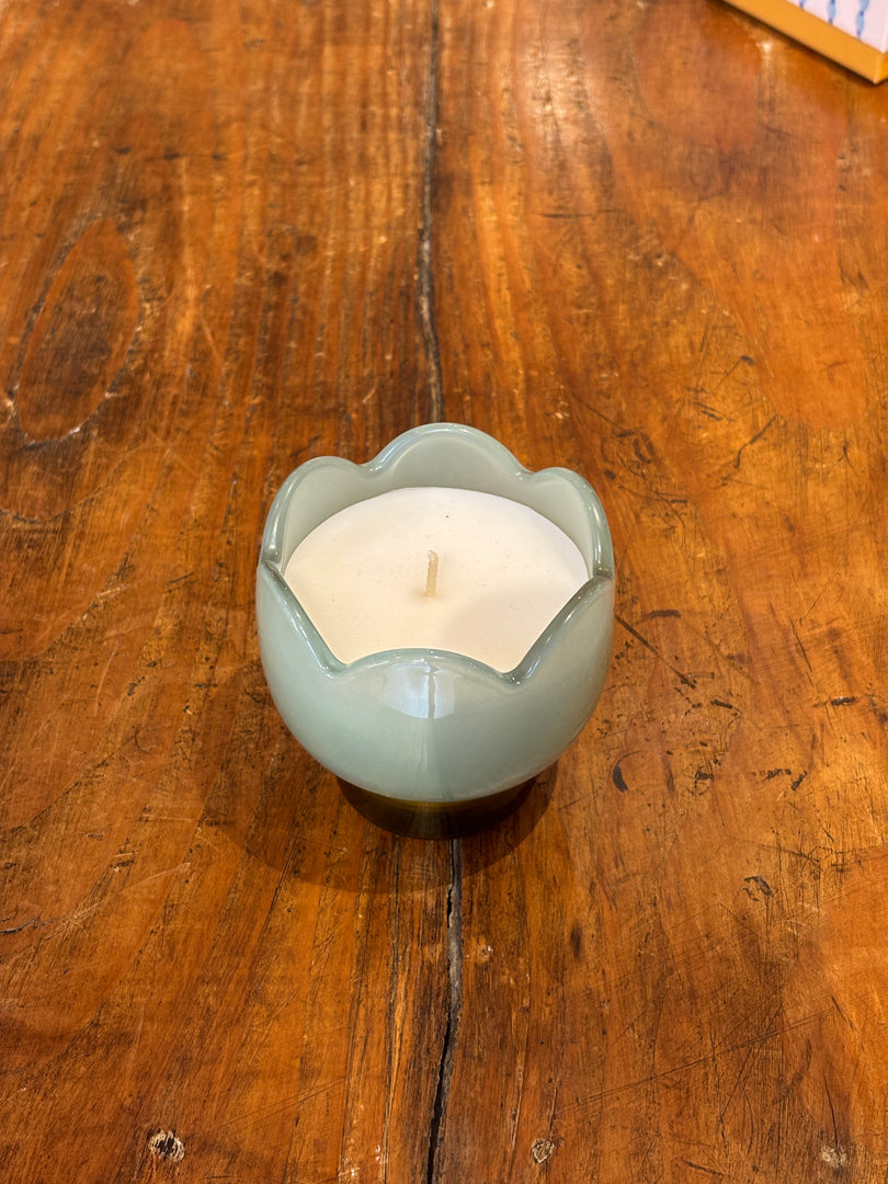 Bougie Tulip Wisteria & Willow - Paddywax