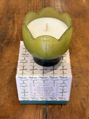Bougie Tulip Verbena & Lemongrass - Paddywax