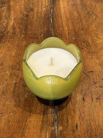 Chargez l'image dans le visionneur de galerie, Bougie Tulip Verbena &amp; Lemongrass - Paddywax