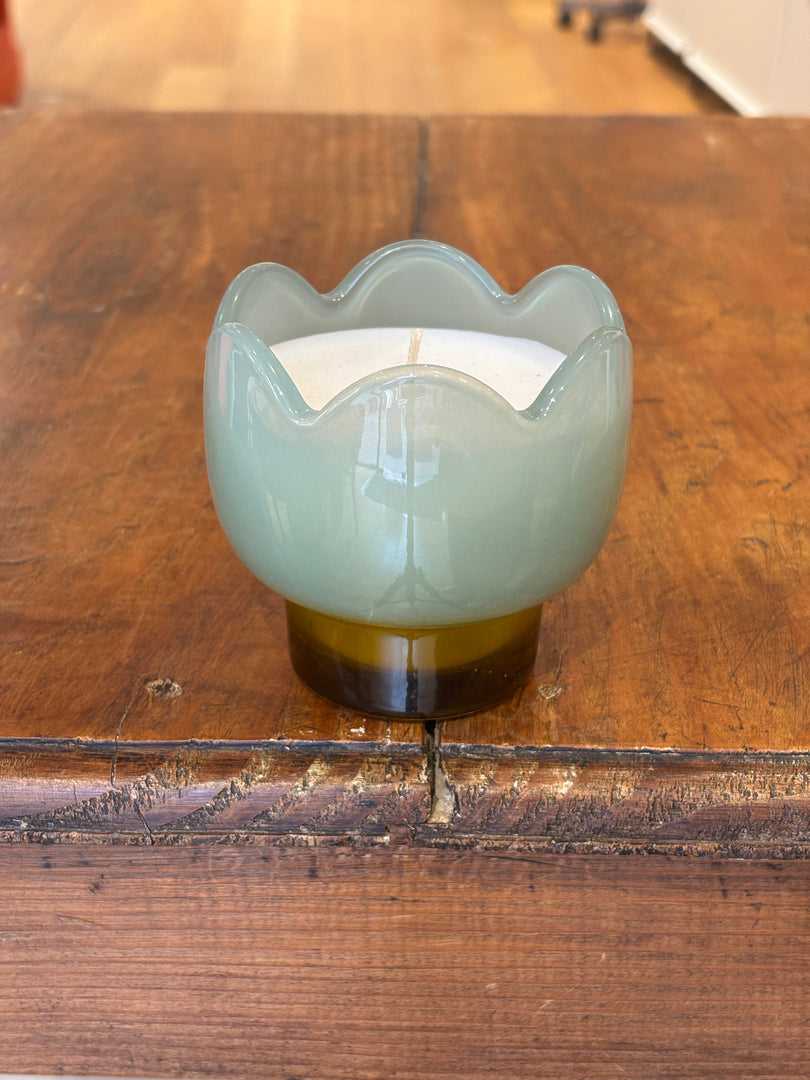 Bougie Tulip Wisteria & Willow - Paddywax