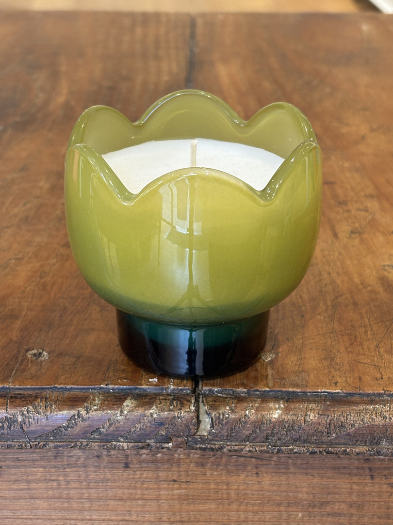 Bougie Tulip Verbena & Lemongrass - Paddywax