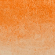 Mango - La Nouvelle Vague Couleur