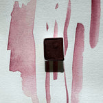 Chargez l'image dans le visionneur de galerie, Nord-Pinus - La Nouvelle Vague Couleur