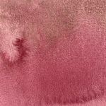 Chargez l'image dans le visionneur de galerie, Nord-Pinus - La Nouvelle Vague Couleur