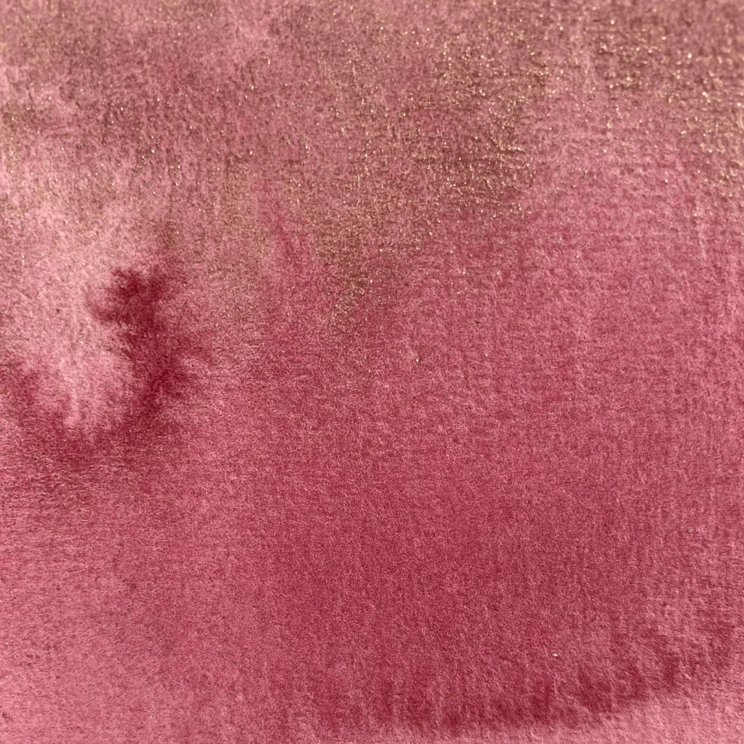 Nord-Pinus - La Nouvelle Vague Couleur