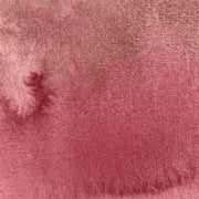 Nord-Pinus - La Nouvelle Vague Couleur