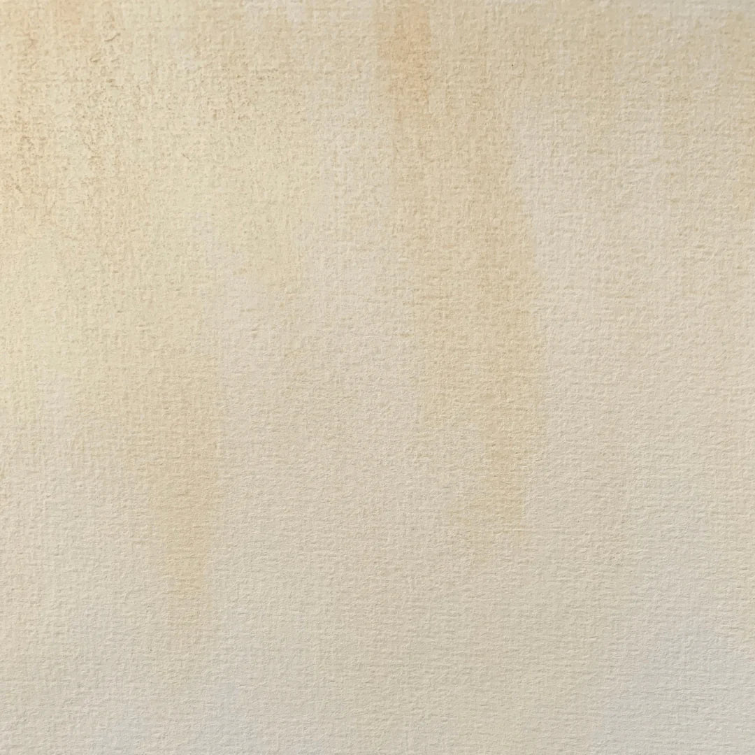 Peau Dorée - La Nouvelle Vague Couleur