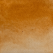 Risotto - La Nouvelle Vague Couleur