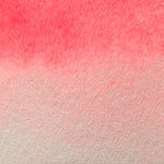 Chargez l'image dans le visionneur de galerie, Rose Flash - La Nouvelle Vague Couleur