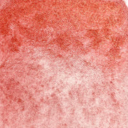 Thé - La Nouvelle Vague Couleur